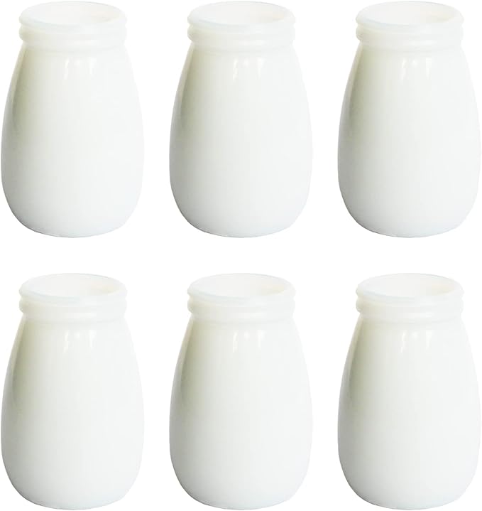 YANLING 6 Pack White Vase for Decor Ceramic Vase for Flowers, Small Bud Vases for Home Decor White Flower Vase, Boho Vases Dried Flowers Vases