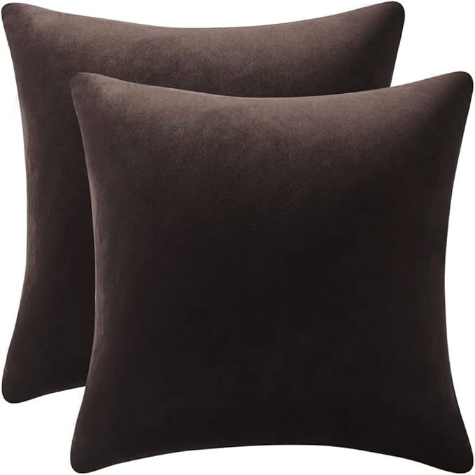 Decorative Pillow Cases 24x24 Chocolate Brown: 2 Pack Cozy Soft Velvet Square Throw Pillow Covers for Farmhouse Home Decor