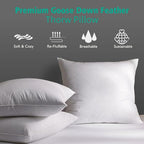 APSMILE 22x22 Down Feather Throw Pillow Inserts 2 Pack - Premium Soft Cotton Euro Square Decorative Pillow Core Set for Bed, Sofa, Couch, Ivory White