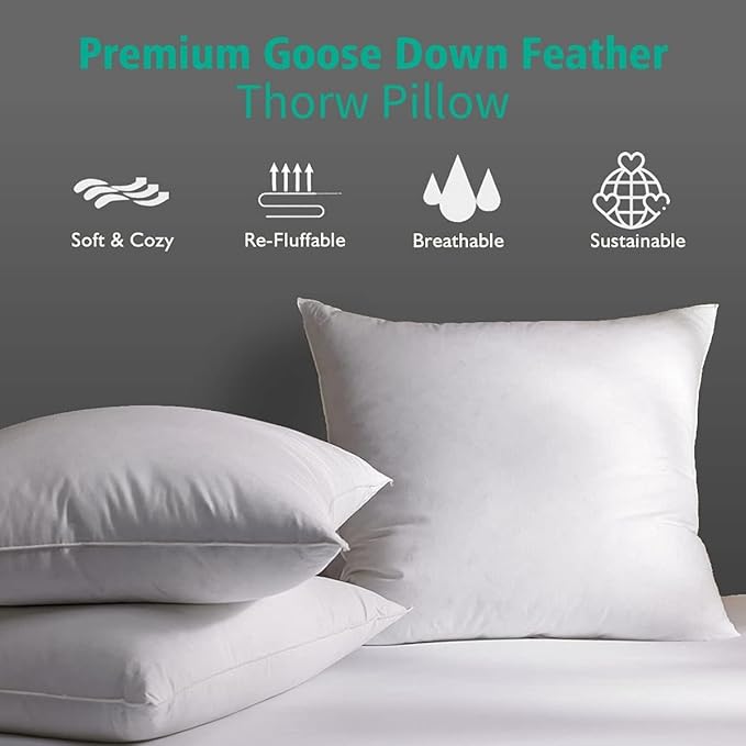 APSMILE 24x24 Down Feather Throw Pillow Inserts 2 Pack - Premium Soft Cotton Euro Square Decorative Pillow Core Set for Bed, Sofa, Couch, Ivory White