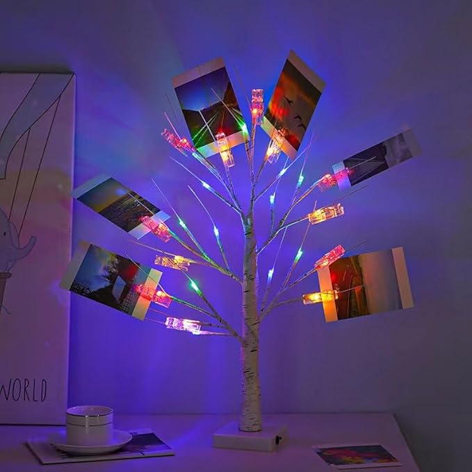Coloured Money Tree Gift Card Holder - Multicolor Graduation Gift Card Birch Tree with 12 Clips and 24 Twig LEDs, Display Lottery Ticket Money Cash Photo DIY for Birthday Christmas Home Party Wedding