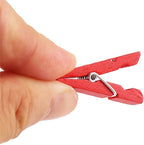 DECORA 120 Pieces 3.5cm Colored Wooden Clothespins Mini Craft Photo Pegs Clips with 98 Feet Twin