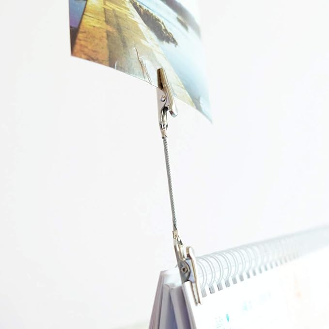 Wall Hanging Photo Display, DIY Picture Photo Frame String with 12 Clips for Hanging Photos Notes and Artworks (Adjustable Alligatory Clip)