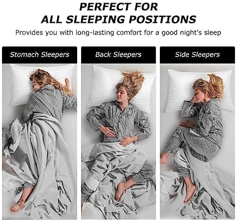 Pillows Standard Size Set of 2, Soft Down Alternative Bed Pillows for Sleeping, Pillows 2 Pack for Back, Stomach or Side Sleepers, Cooling Hotel Fluffy Pillows, Machine Washable