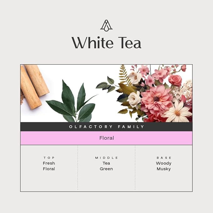 AromaPlan Hotel Scent Diffuser Oil White Tea 5 Fl Oz (148ml) –Luxury Hotel & Home Fragrance Oil - Non Toxic - Made in USA - Bigger Bottle, Bolder Aroma & Longer Lasting