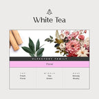 AromaPlan Hotel Scent Diffuser Oil White Tea 5 Fl Oz (148ml) –Luxury Hotel & Home Fragrance Oil - Non Toxic - Made in USA - Bigger Bottle, Bolder Aroma & Longer Lasting