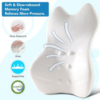 Lumbar Pillow for Car Lumbar Support for Office Chair, Memory Foam Back Cushion with 3D Mesh Cover, Car Seat Back Pillows for Back Pain Relief, Back Support Pillow for Car Truck Computer Desk