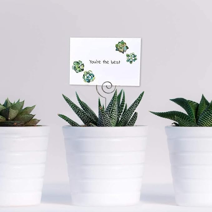 HOHIYA 50pc Floral Card Holder Pick Stick Wire Clip Photo Picture Centperieces Memo Note Clamp Clay Cake Accessories Silver 5 Inch