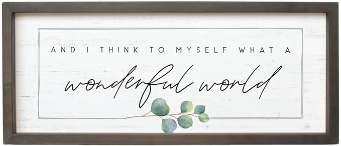 Simply Said, INC Farmhouse Frames What a Wonderful World Wooden Sign, Rustic Framed Wall Art, Inspirational Farmhouse Home Decor, 10 x 24 Inch