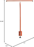 LED Desk Lamp for Office Home, Eye-Caring Desk Light with Stepless Dimming Adjustable Flexible Gooseneck, 10W USB Adapter Desk Lamp with Clamp for Reading, Study, Workbench (Orange)