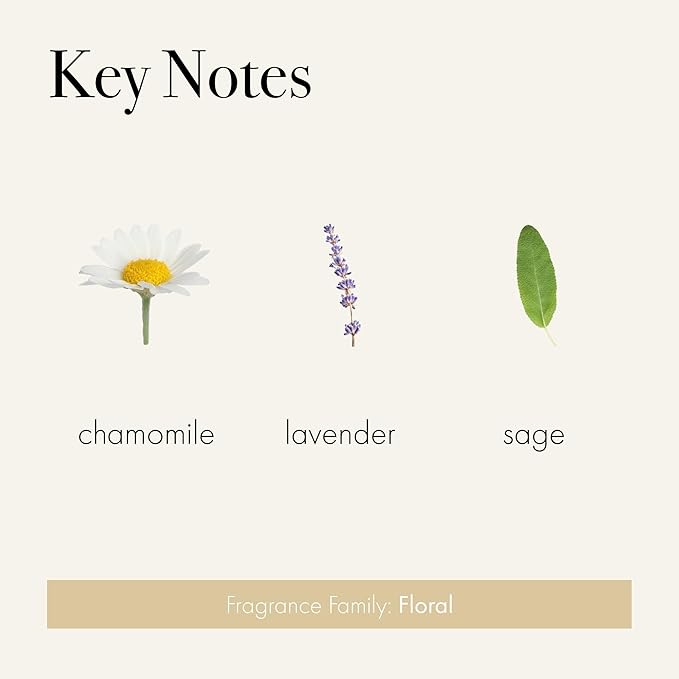 LAFCO New York Reed Diffuser Refill, Chamomile Lavender - 8.4 oz - Up to 4-Month Fragrance Life - Includes Natural Wood Reeds - Free of Dyes & Propellants - Made in The USA