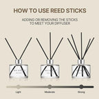 COCODOR Signature Reed Diffuser/Cedar Wood/6.7oz/1Pack / Home Fragrance Scent Essential Oil Stick Diffuser for Bedroom Bathroom Home Décor