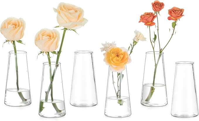Hewory Glass Bud Vases for Centerpieces: Small Clear Modern Flower Vase Set of 6, Minimalist Cute Mini Decorative Bulk Vases for Wedding Birthday Bridal Shower Party Events Dining Room Table Decor