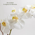 CG Hunter Faux White Orchid Plant, Premium Artificial Indoor Flower Display Stands 25-Inches with Beautiful Sculptural Blooms and Foliage That Lasts Forever, Grey Planter Pot Included