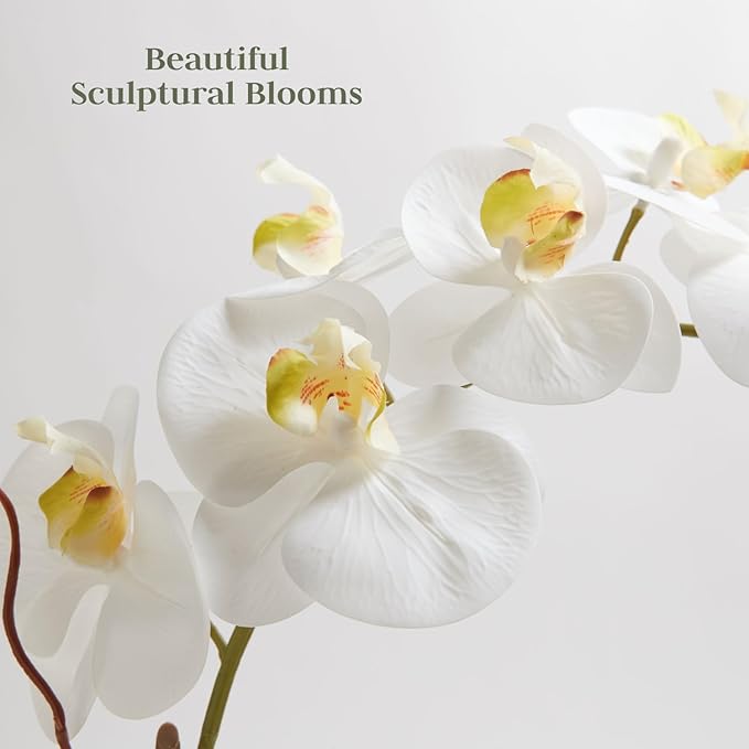 CG Hunter Faux White Orchid Plant, Premium Artificial Indoor Flower Display Stands 25-Inches with Beautiful Sculptural Blooms and Foliage That Lasts Forever, Grey Planter Pot Included