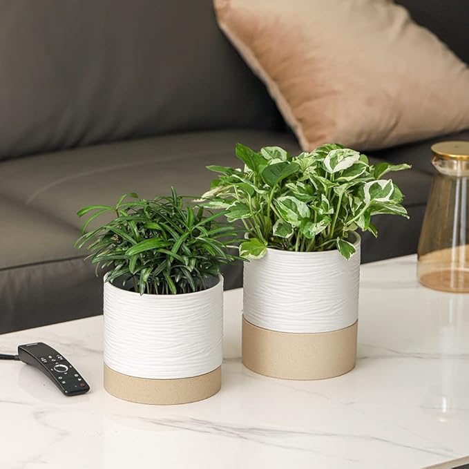 Nihow Ceramic Plant Pot: 6 Inch Planter with Drainage Hole & Saucer for Indoor & Outdoor Plants - Cylinder Round Flower Pot for Succulent/Herbs/Violets - White & Brown