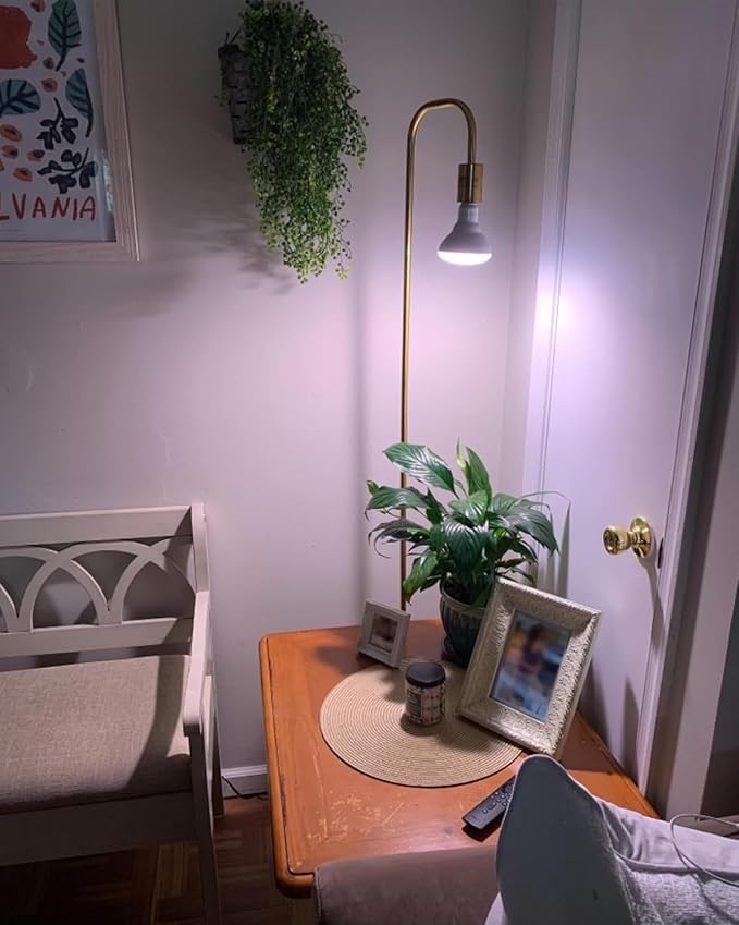 Oneach 63.75'' Industrial Antique Brass Gold Minimalist Floor Lamp for Living Room, Bedroom and Office