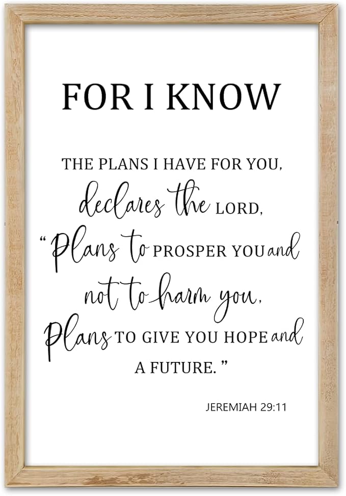 FZMHASLWW For I Know The Plans I Have for You Wall Decor 16"×11" Jeremiah 29 11 Sign Large Wood Framed Wall Hanging Art (Wood)