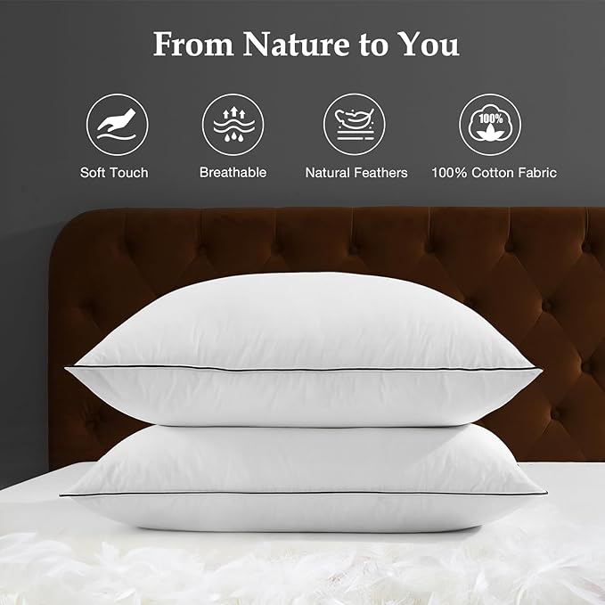 DWR Luxury Goose Feather Down Core Pillows Surrounded by Polyester - Set of 2 - Standard Size(20"x26") - Medium Firm - 100% Organic Cotton Cover