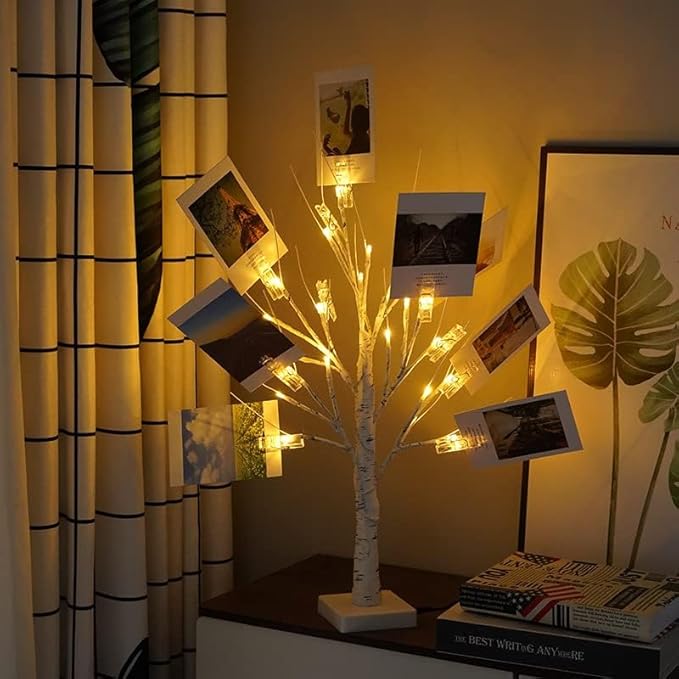 2 Pack Money Tree Gift Card Holder- DIY Birch Tree Lamp with 12 Clips and 24 Twig LEDs, Display Money Cash Photo for Birthday Christmas Home Party Festival Wedding (Warm 2Pack)