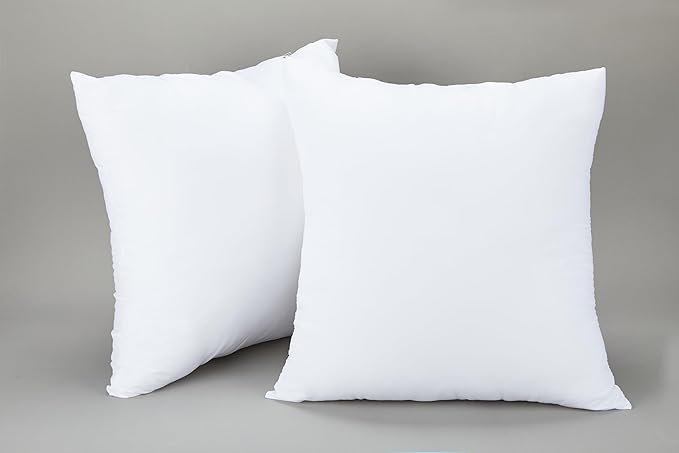 20x20 Inch Pillow Inserts (Set of 2) Synthetic Down Alternative Fill - Fluffy Durable Forms for Sofa, Bed & Accent Chairs