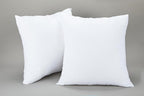 20x20 Inch Pillow Inserts (Set of 2) Synthetic Down Alternative Fill - Fluffy Durable Forms for Sofa, Bed & Accent Chairs