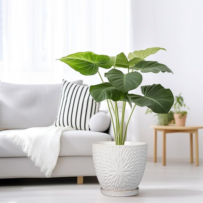 G EPGardening 8 Inch Ceramic Plant Pot with Drainage Hole and Saucer Round Planter Pot for Indoor Outdoor Plants Modern Large Flower Pot White