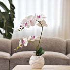 Artificial Potted Orchid Faux Phalaenopsis Silk Flowers Bonsai Realistic Arrangement in Ceramic Vase for Home Decoration Table Centerpiece, White