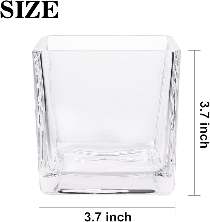 Set of 6 Square Glass Vases 4 x 4 Inch, Clear Cube Flower Vases with Sponge Brush, Candle Holders, Decorative Centerpieces for Home, Events or Weddings