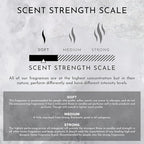 ENVIRONMENT Inspired by 5-Star Hotels WSTN Room Spray, 100ml Air Freshener (White Tea | Cedar | Aloe Vera) Home Fragrance Accessories, Room Perfume, Room Deodorizer, Vegan & Cruelty-Free