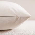 Couch Pillow Covers 22x22 Cream: 2 Pack Cozy Soft Velvet Square Throw Pillow Cases for Farmhouse Home Decor