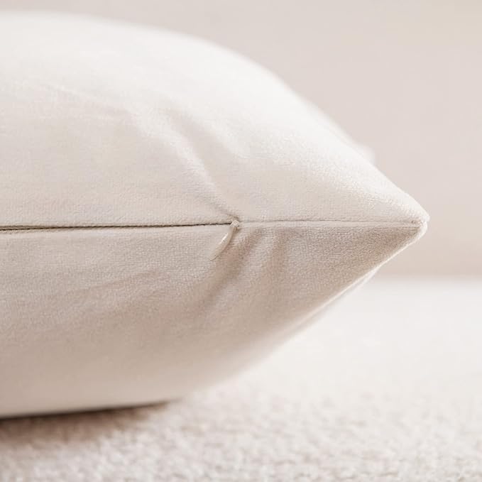 Couch Pillow Covers 12x20 Cream: 2 Pack Cozy Soft Polyester Velvet Rectangular Throw Pillow Cases for Farmhouse Home Decor