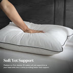 BPC Luxury Feather Down Pillow King Size Set of 2 - Medium-Firm Feather Pillow, 3-Chamber Bed Pillow Inserts with Organic Cotton Cover, Surrounded by Polyester, 20x36 Inches