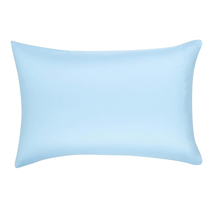 Amazon Basics 5-Piece Lightweight Microfiber Bed-In-A-Bag Comforter Bedding Set, Soft, Twin XL, Blue Stripe