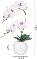Artificial Potted Orchid Faux Phalaenopsis Silk Flowers Bonsai Realistic Arrangement in Ceramic Vase for Home Decoration Table Centerpiece, White