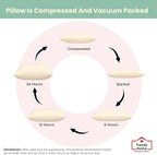 Trendy Home 20x20 100% Natural Cotton Throw Pillow Insert(Set of 2), Bed and Couch Pillows Stuffer Hypoallergenic, Decorative Home Outdoor Sofa Pillow Filler (Cotton, 2 Pack)