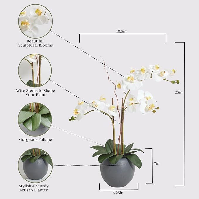 CG Hunter Faux White Orchid Plant, Premium Artificial Indoor Flower Display Stands 25-Inches with Beautiful Sculptural Blooms and Foliage That Lasts Forever, Grey Planter Pot Included