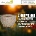 Headwind 12" Lattice - Mocha Crème