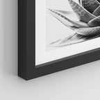 SIGNWIN Framed Black White Snake Plant Agave Cactus Succulent Wall Art, Set of 4 Floral Botanical Wall Decor Prints, Nature Wilderness Wall Décor for Living Room, Bedroom - 11"x14" Black