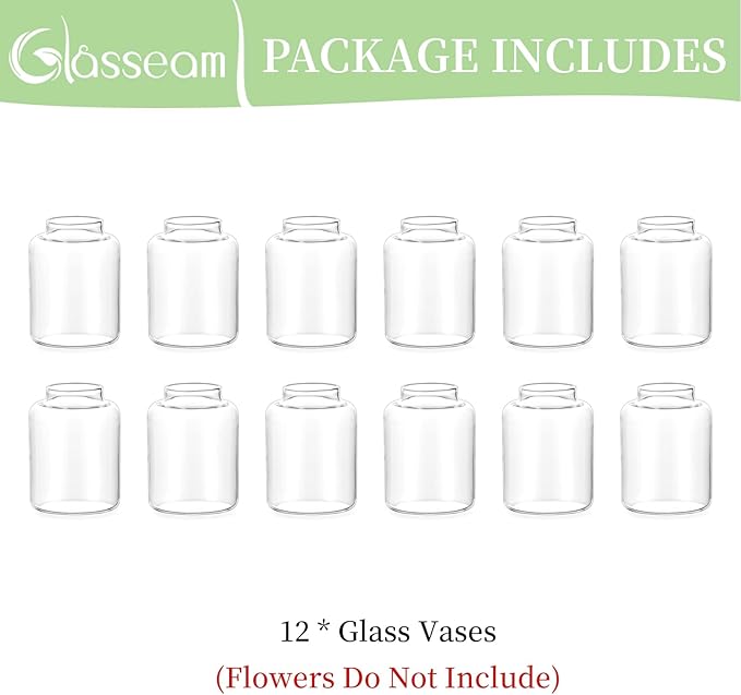 Glasseam Bud vases Set of 12: Glass Vases for Centerpieces Modern Small Vases for Home Table Shelf Wedding Party Decoration - Clear Vase for Flowers Stem Roses Tuilps Cuttings