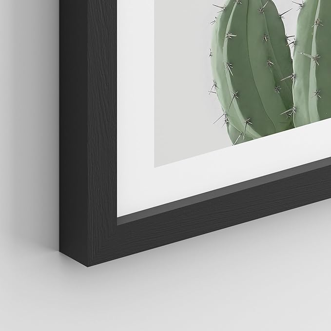 SIGNWIN Framed Green Cactus Snake Plant Wall Art, Set of 4 Collage Desert Landscape Wall Decor Prints, Nature Wilderness Wall Décor for Living Room, Bedroom - 11"x14"Black