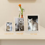 5x7 Picture Frame Clear Acrylic Magnetic Tabletop Photo Frame Frameless with Removable Magnetic Stand for Home/Office Desk/Table Picture/Note Display, 2 Pack (Clear, 5 * 7 in)