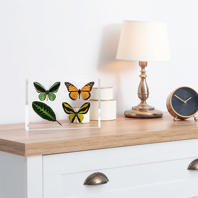 TWING 6 PACK Acrylic Picture Frame 5 x 7 Inch Acrylic Photo Frame,Horizontal Magnet Lucite Double Sided Frames, 10+10MM Clear Picture Frame Ideal Gifts