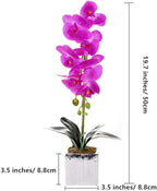 Artificial Real Touch Phalaenopsis Orchid Flowers Arrangement in Silver Ceramic Pot for Home Decor Centerpieces, Purple Red