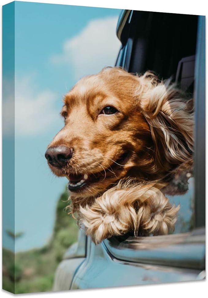 Personalized Photo to Canvas Print - Canvas Prints With Your Photos on Custom Wall Art for Bedroom, Living Room, Wedding Baby Pet Family Picture Framed Wall Art (8" W x 12" H)