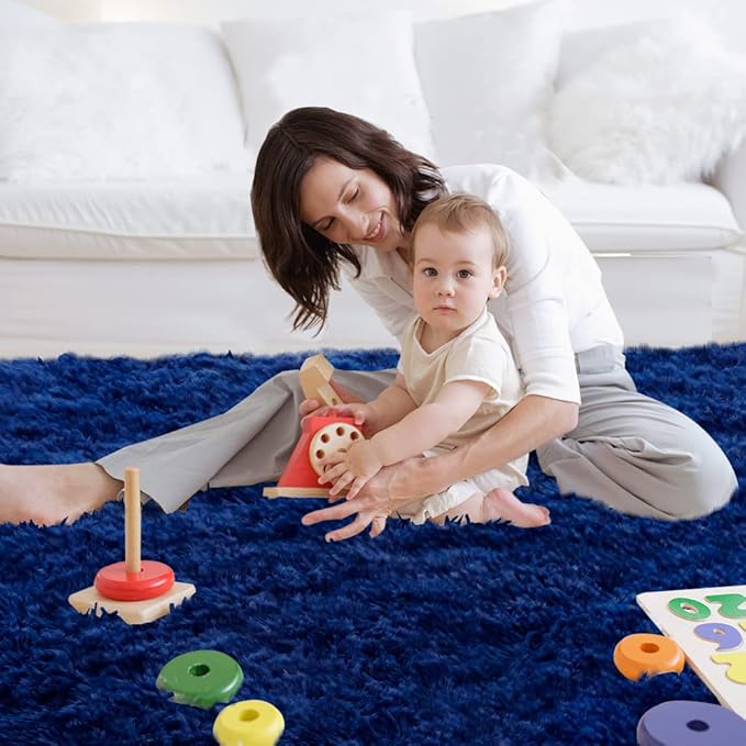 Area Rug 7x10 Living Room: Blue Area Rugs 7X 10 Carpets for Living Room - Shag Area Rug Modern Indoor Soft Shaggy Fuzzy Floor Carpet for Bedroom (Blue/7x10 Feet)