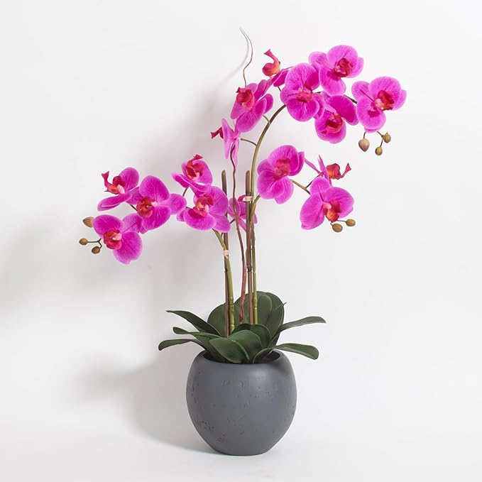 CG Hunter Faux Pink Orchid Plant, Premium Artificial Indoor Flower Display Stands 25-Inches with Beautiful Sculptural Blooms and Foliage That Lasts Forever, Grey Planter Pot Included