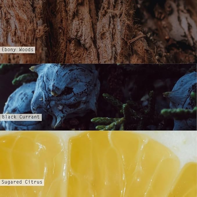 ILLUME Vanity Tin Candle, North Sky, Signature 11.8 oz.