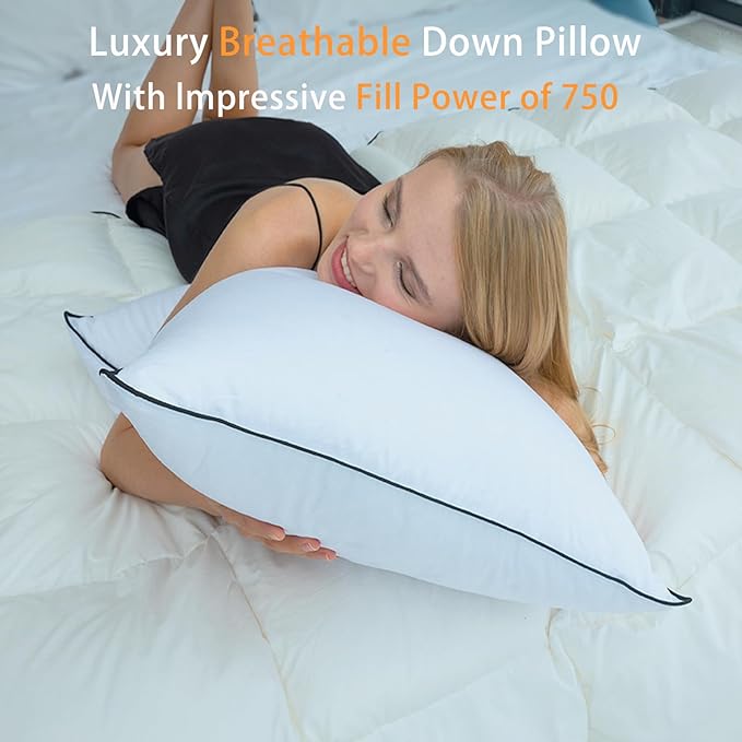 Luxury Hungarian White Goose Down Pillows Standard Size (Pack of 2) - 750 Fill Power - 500 Thread Count 100% Cotton Shell - Soft and Support Down Bed Pillow for Sleeping - Standard (20 x 26”)