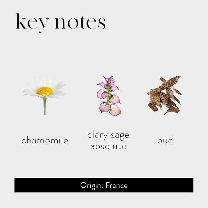 LAFCO New York Absolute Collection Reed Diffuser, Clary Sage - 15 oz - Up to 1 Year Fragrance Life - Reusable, Hand Blown Glass Vessel - Nylon Reeds - Made in The USA